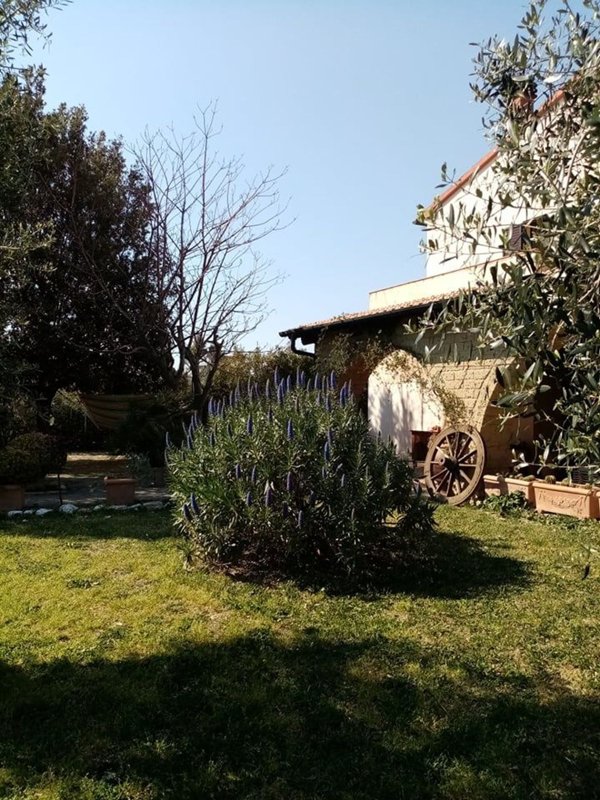 casa indipendente in vendita a Piombino in zona Baratti