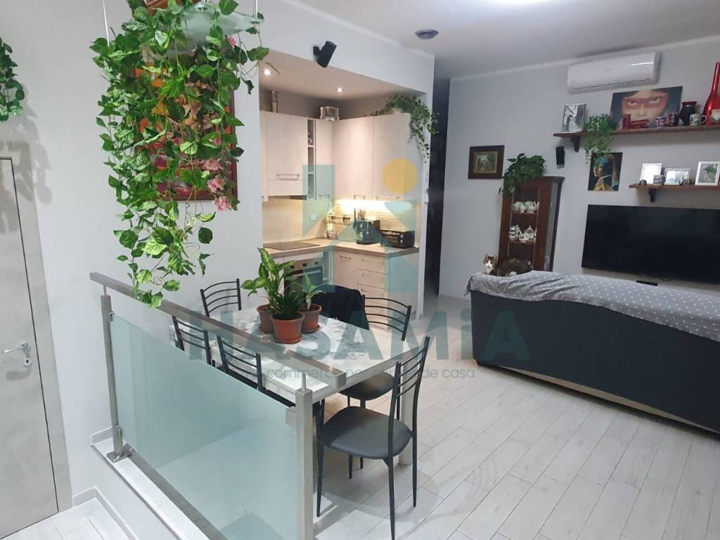 appartamento in vendita a Piombino