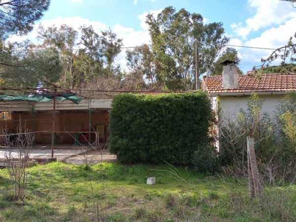 terreno agricolo in vendita a Piombino in zona Baratti