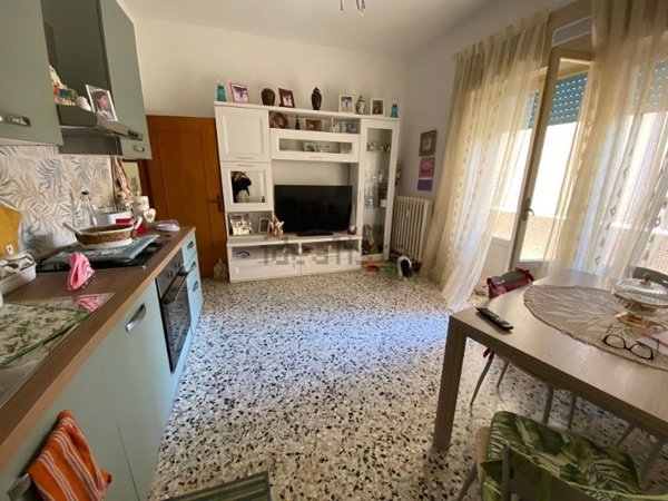 appartamento in vendita a Piombino