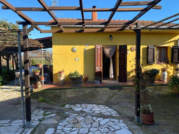 terreno agricolo in vendita a Piombino
