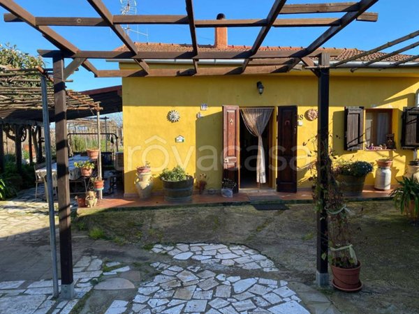 terreno agricolo in vendita a Piombino
