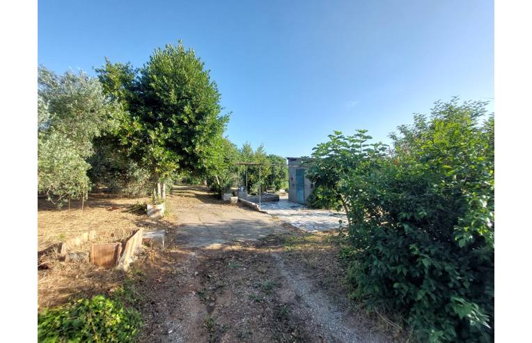 terreno agricolo in vendita a Piombino in zona Baratti