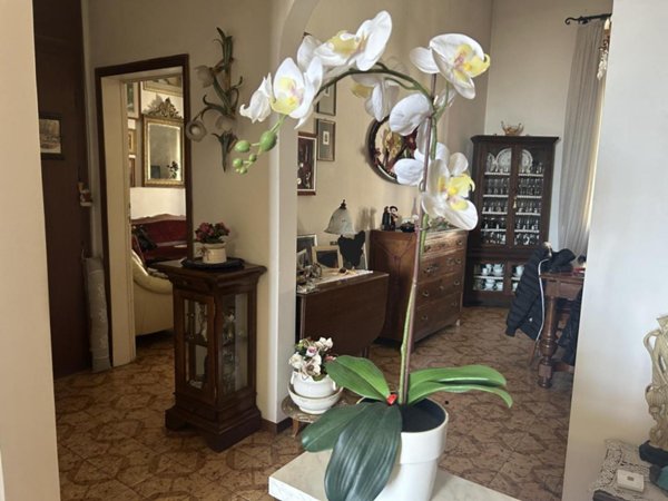 appartamento in vendita a Piombino