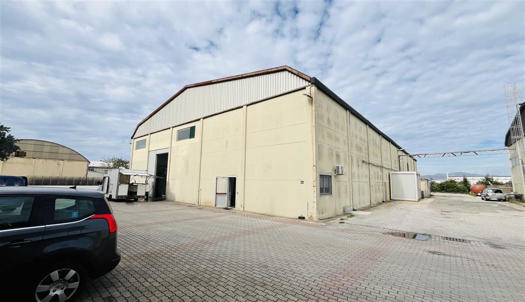 appartamento in vendita a Piombino