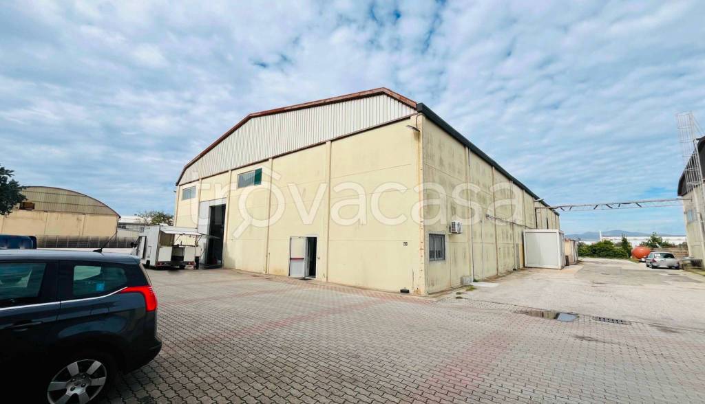 appartamento in vendita a Piombino