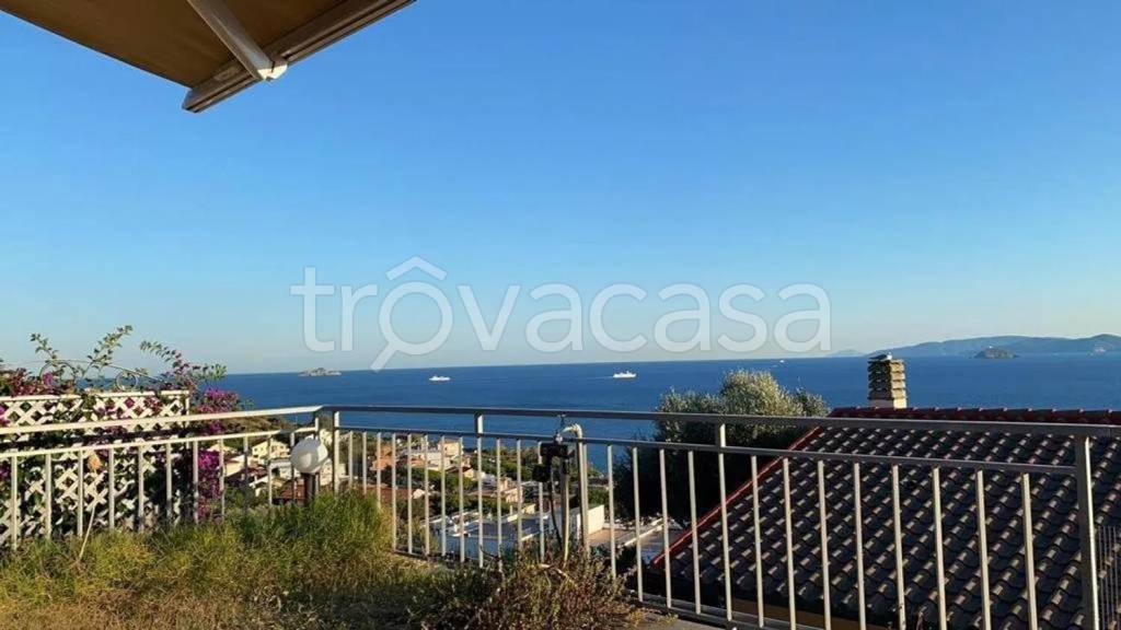 appartamento in vendita a Piombino