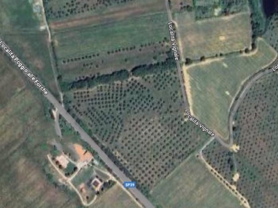terreno agricolo in vendita a Piombino