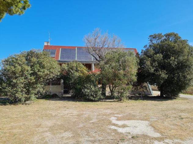 casa indipendente in vendita a Piombino