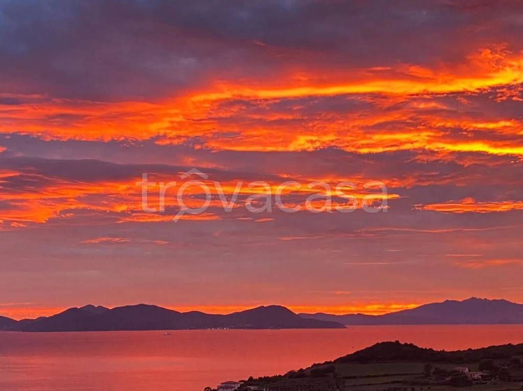 appartamento in vendita a Piombino
