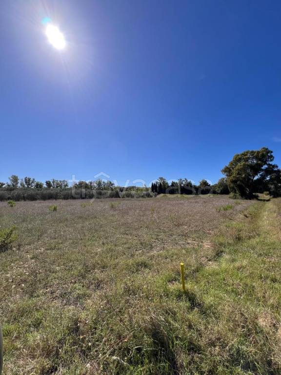 terreno agricolo in vendita a Piombino
