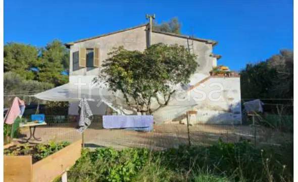 appartamento in vendita a Piombino