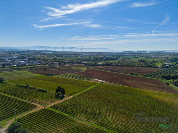 terreno agricolo in vendita a Piombino