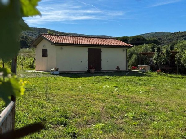 terreno agricolo in vendita a Piombino in zona Baratti