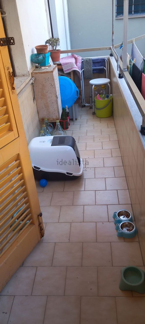 appartamento in vendita a Piombino