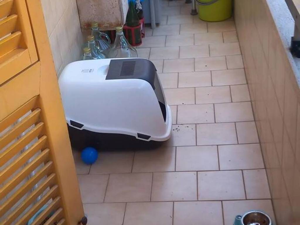 appartamento in vendita a Piombino