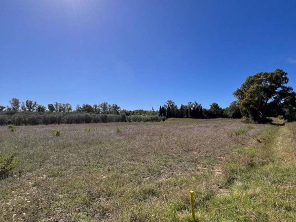 terreno agricolo in vendita a Piombino