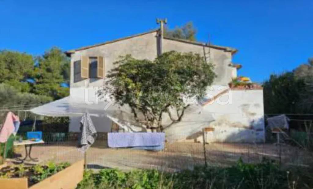 appartamento in vendita a Piombino