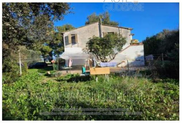 quadrivano in vendita a Piombino