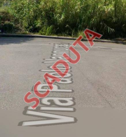 terreno agricolo in vendita a Piombino