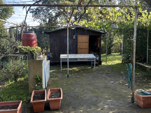 casa indipendente in vendita a Piombino