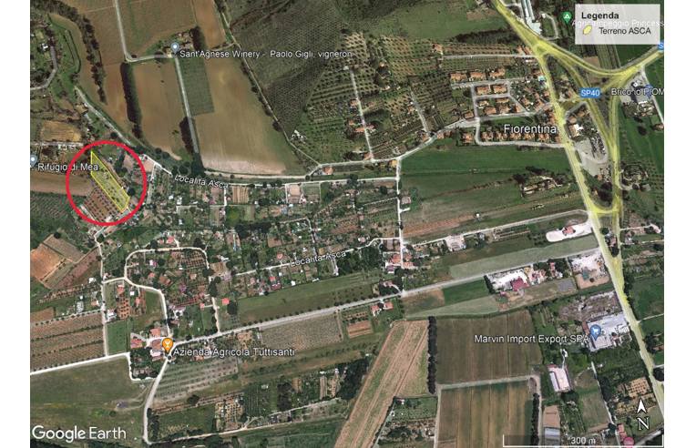 terreno agricolo in vendita a Piombino in zona Fiorentina