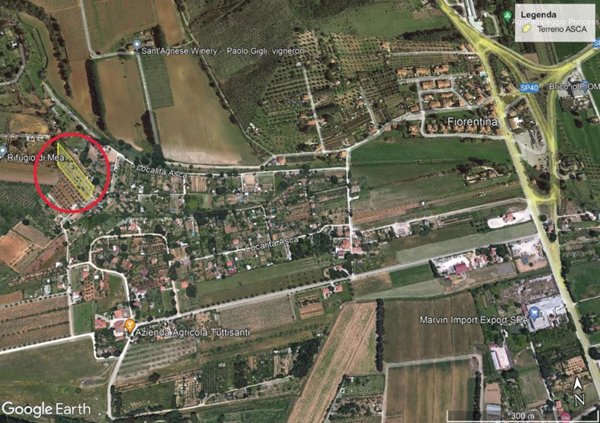 terreno agricolo in vendita a Piombino in zona Fiorentina