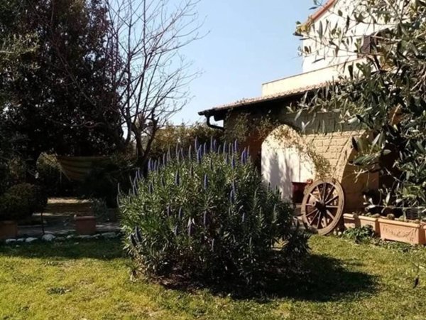 casa indipendente in vendita a Piombino