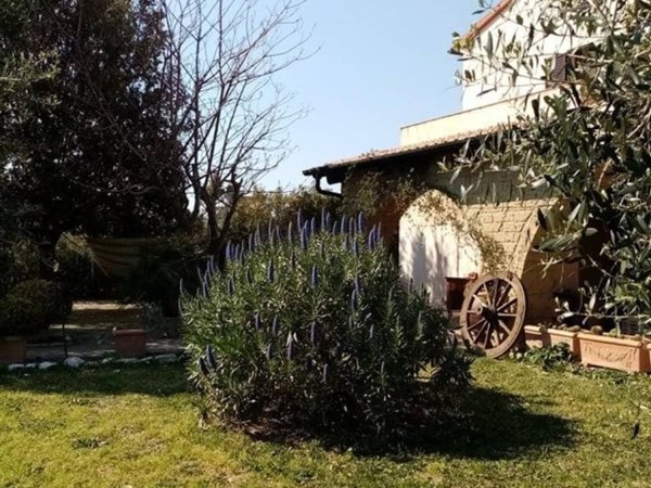 casa indipendente in vendita a Piombino