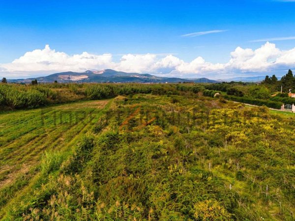 terreno agricolo in vendita a Piombino