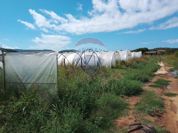 terreno agricolo in vendita a Piombino in zona Baratti