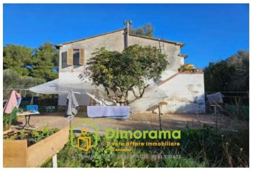 appartamento in vendita a Piombino