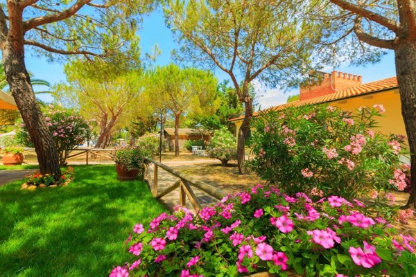 appartamento in vendita a Piombino