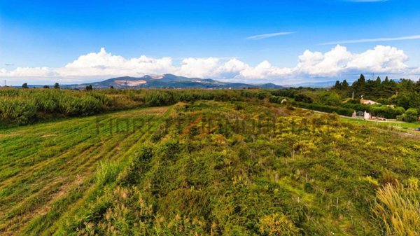 terreno agricolo in vendita a Piombino