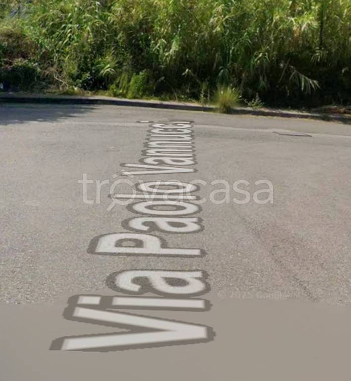 terreno agricolo in vendita a Piombino
