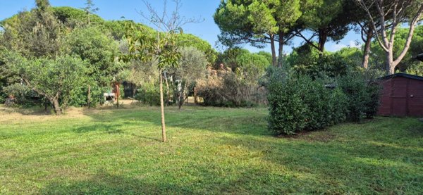 appartamento in vendita a Piombino