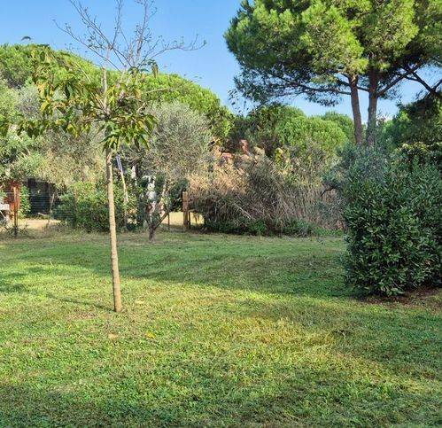 appartamento in vendita a Piombino