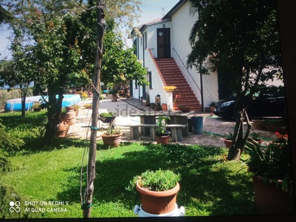 casa indipendente in vendita a Piombino