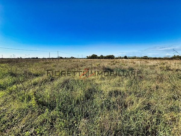 terreno agricolo in vendita a Piombino