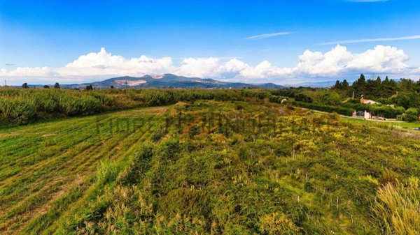 terreno agricolo in vendita a Piombino