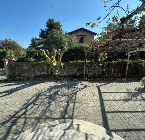 casa indipendente in vendita a Piombino