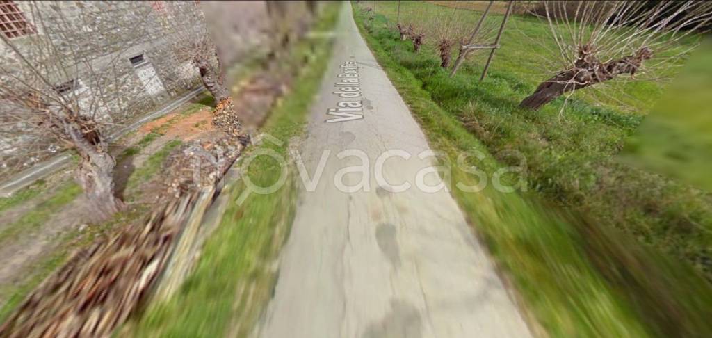azienda agricola in vendita a Piombino