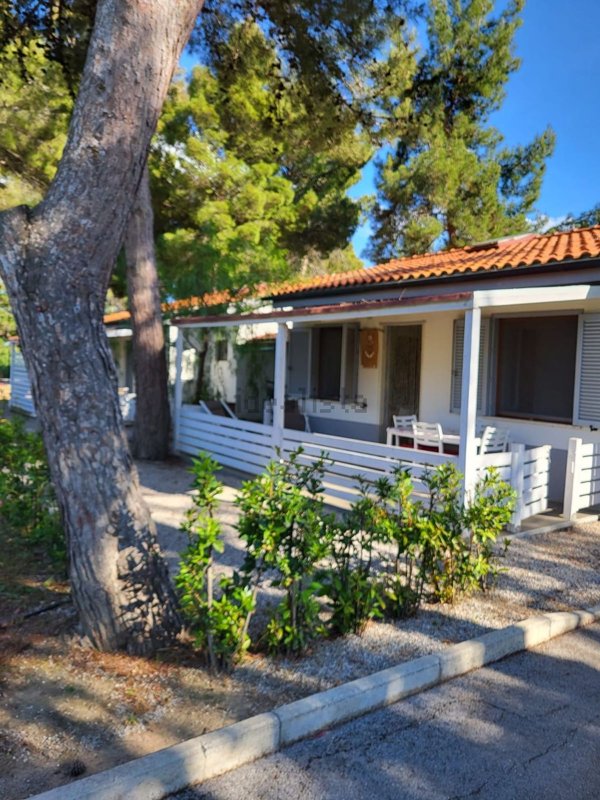 appartamento in vendita a Piombino