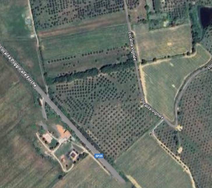 terreno agricolo in vendita a Piombino