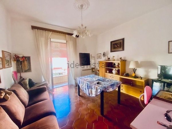 appartamento in vendita a Piombino