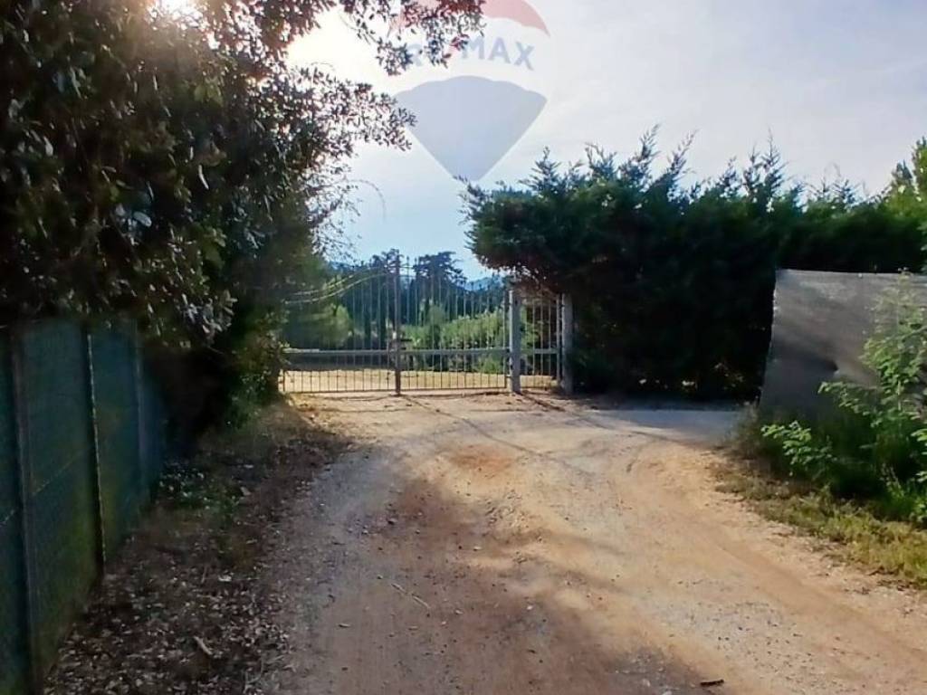 terreno agricolo in vendita a Piombino in zona Populonia