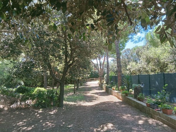 casa indipendente in vendita a Piombino