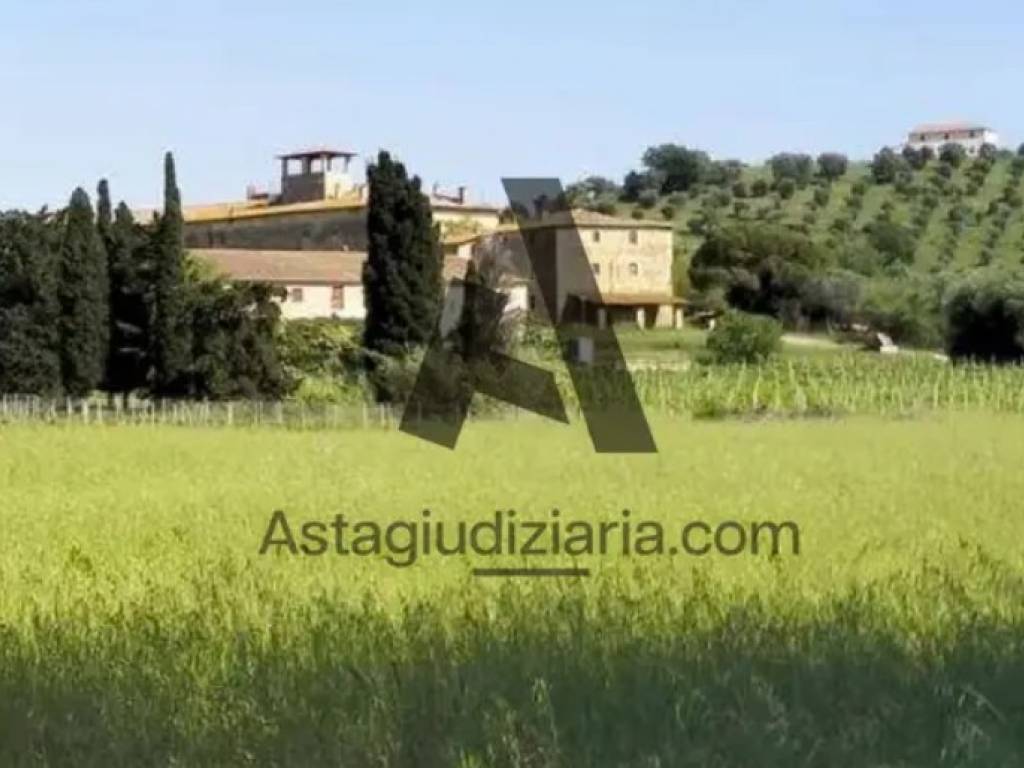 terreno agricolo in vendita a Piombino