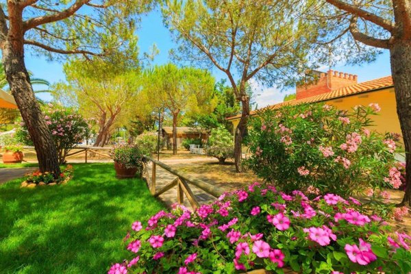 appartamento in vendita a Piombino