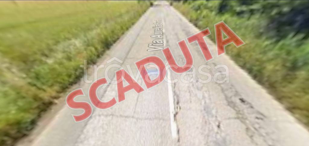 negozio in vendita a Piombino